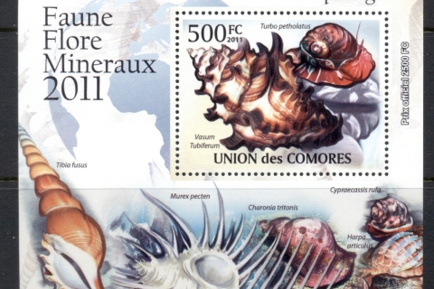 Comoro-Is-2011-Sea-Shells-Deluxe-MS-MUH