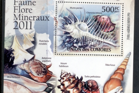 Comoro-Is-2011-Sea-Shells-Deluxe-MS-MUH_1