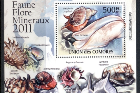 Comoro-Is-2011-Sea-Shells-Deluxe-MS-MUH_2
