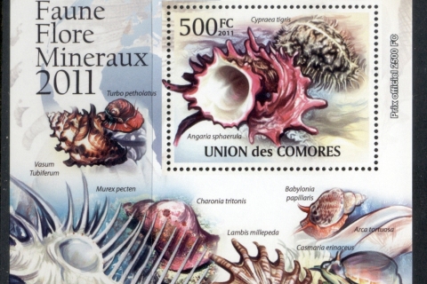 Comoro-Is-2011-Sea-Shells-Deluxe-MS-MUH_3