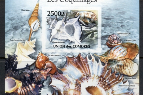 Comoro-Is-2011-Sea-Shells-MS-IMPERF-MUH_1
