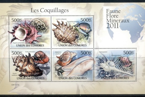 Comoro-Is-2011-Sea-Shells-MS-MUH