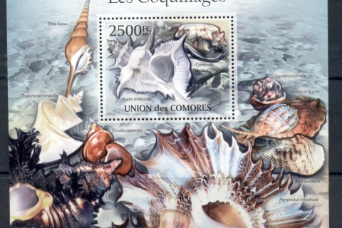 Comoro-Is-2011-Sea-Shells-MS-MUH_1