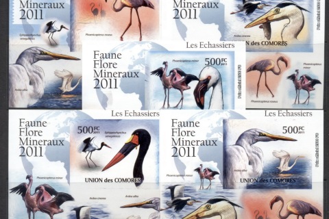 Comoro-Is-2011-Wading-Birds-5x-Deluxe-MS-IMPERF-MUH