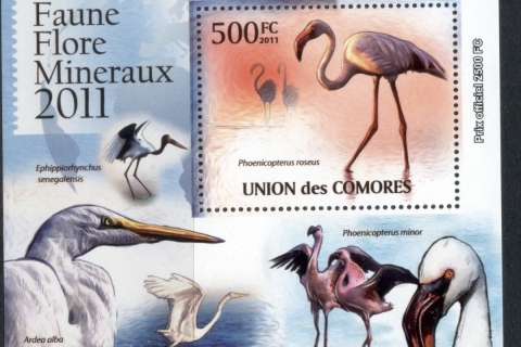 Comoro-Is-2011-Wading-Birds-Deluxe-MS-MUH