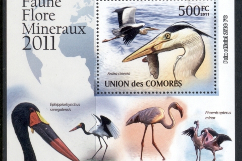 Comoro-Is-2011-Wading-Birds-Deluxe-MS-MUH_1