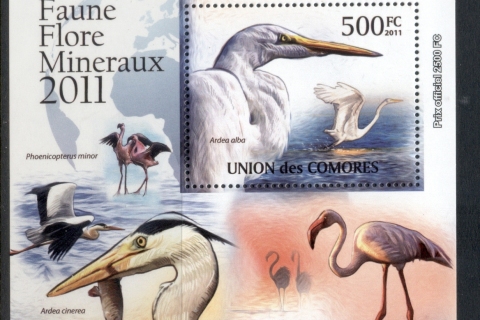 Comoro-Is-2011-Wading-Birds-Deluxe-MS-MUH_2