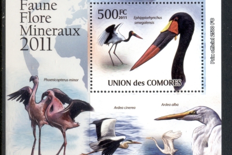 Comoro-Is-2011-Wading-Birds-Deluxe-MS-MUH_3