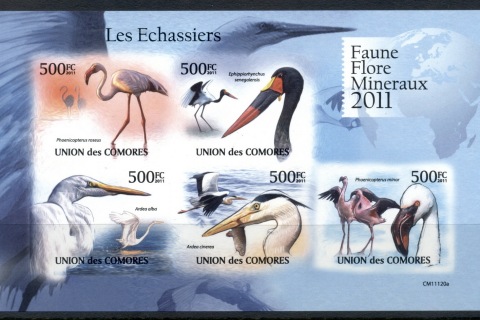 Comoro-Is-2011-Wading-Birds-MS-IMPERF-MUH