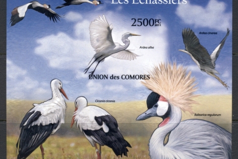 Comoro-Is-2011-Wading-Birds-MS-IMPERF-MUH_1
