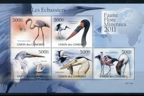 Comoro-Is-2011-Wading-Birds-MS-MUH