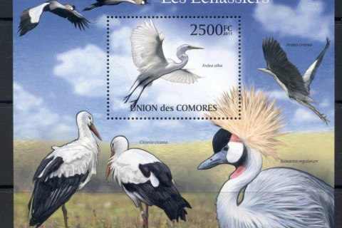 Comoro-Is-2011-Wading-Birds-MS-MUH_1