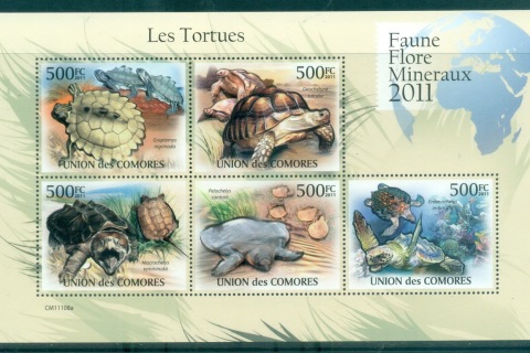 Comoro-Is-2011-Wildlife_4