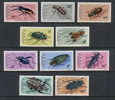 Congo-DR-1971-Insects