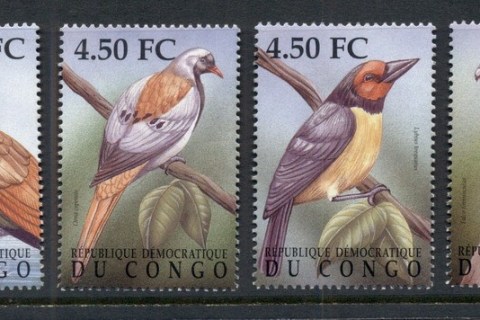 Congo-DR-2010 Birds