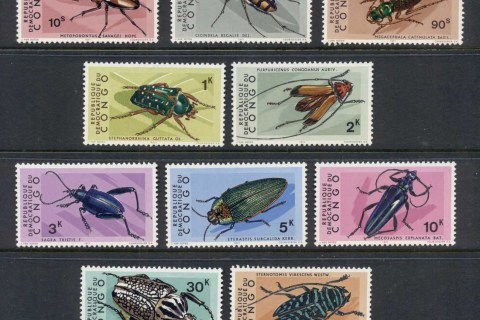 Congo-DR-1971-Insects