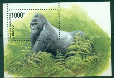 Congo-DR-2002-WWF-Eastern-Lowland-Gorilla-MS-MUH