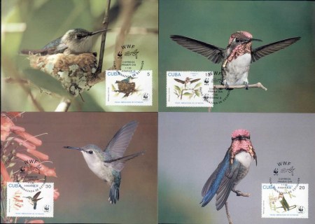 Cuba 1992 WWF Bee Hummingbird Maxicards