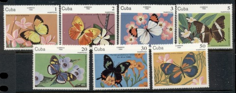 Cuba-1984-Insects