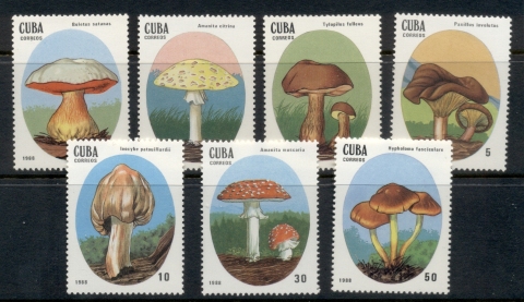 Cuba-1988-Funghi