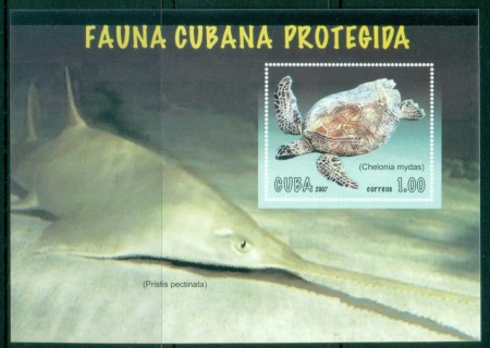 Caribbean-Is-2007-Fauna-Protected-Animals-MS-MUH