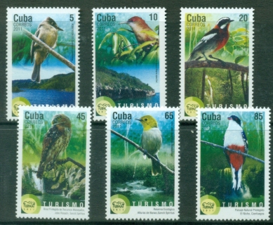 Caribbean-Is-2011-Birds-Turnat-MUH