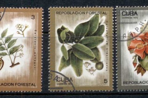 Cuba-1975-Plants