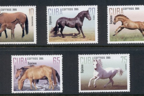 Cuba-2005-Horses-MUH