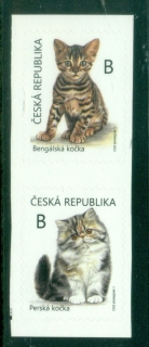 Czech-Republic-2022-Cats-Kittens-PS-MUH