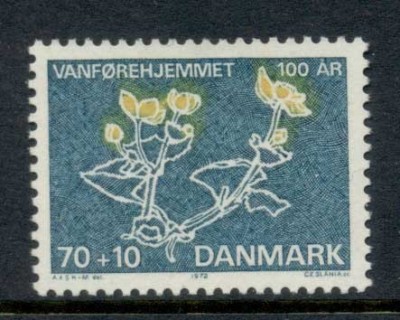 Denmark-1972-Welfare