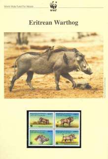 Djibouti 2000 WWF Eritrean Warthog