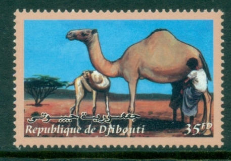 Djibouti-2000-Camels-Herdsman-MUH