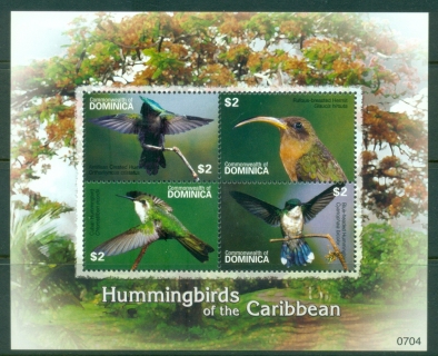 Dominica-2007-Hummingbirds-of-the-Caribbean-MS-MUH