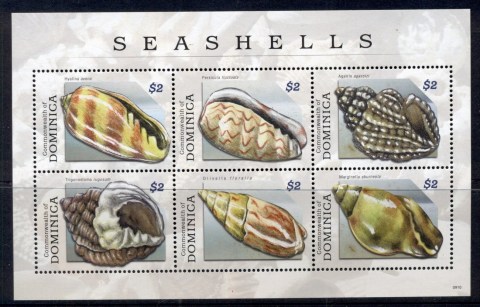 Dominica-2009-Shells-MS-MUH