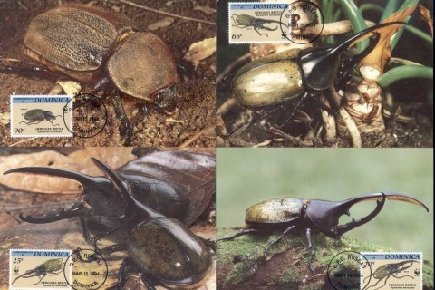 Dominica-1994 WWF Hercules Beetle Maxicards