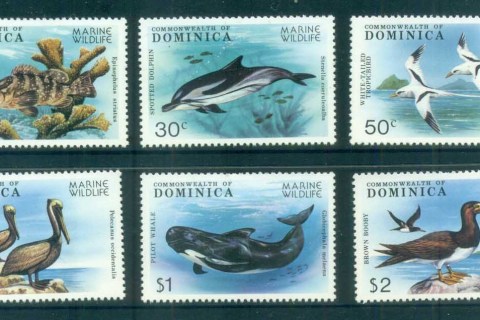 Dominica-1979-Marine-Wildlife