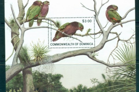Dominica-1981-Birds-MS-MUH