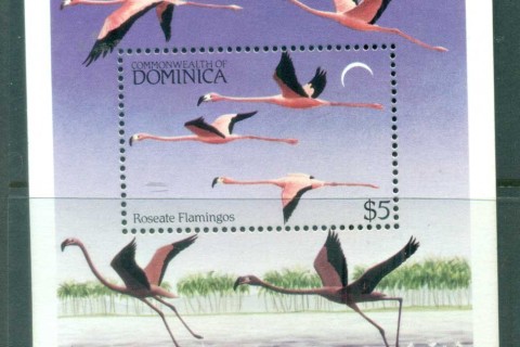 Dominica-1984-Local-Birds