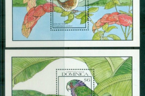 Dominica-1990-Birds