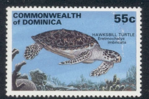 Dominica-1993-Marine-Life