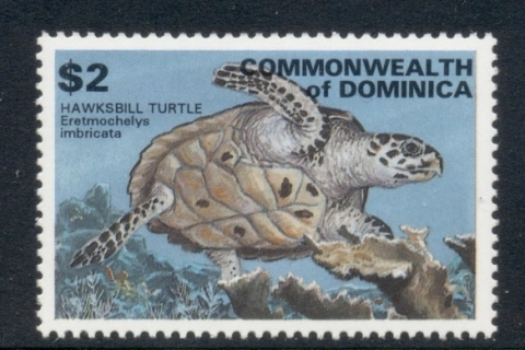 Dominica-1993-Marine-Life_2