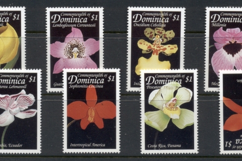 Dominica-1999-Flowers