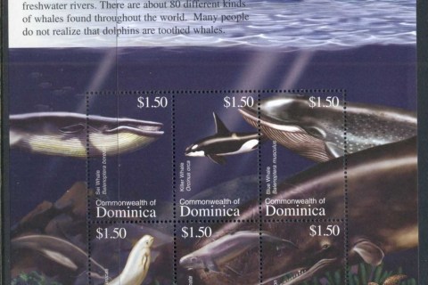 Dominica-2002-Marine-Life