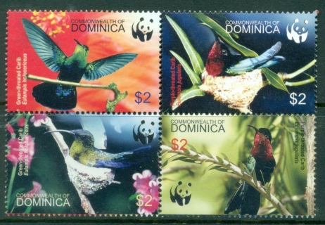 Dominica-2005-WWF-Hummingbirds-MUH