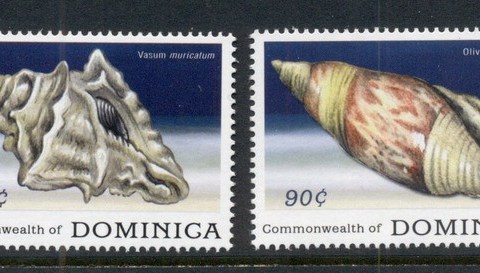 Dominica-2009-Shells-MUH