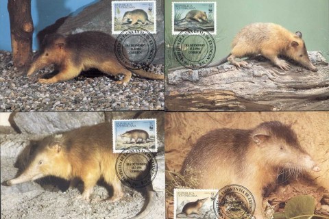 Dominican-Republic-1994 WWF Hispaniolan Solenodon Maxicards