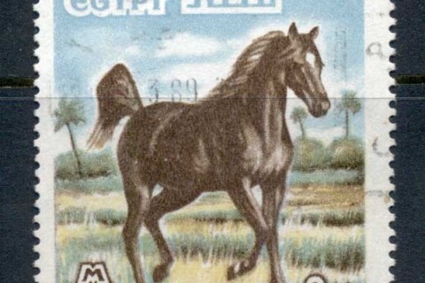 Egypt-1978-85-Horse-2