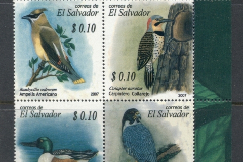 El-Salvador-2007-Migratory-Birds-MUH