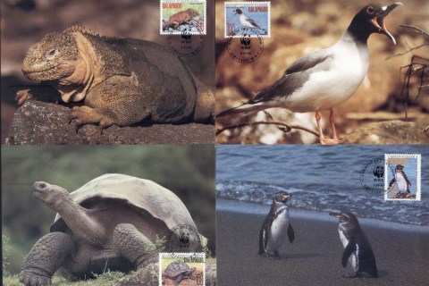Ecuador-1992 WWF Animals of the Galapagos Maxicards