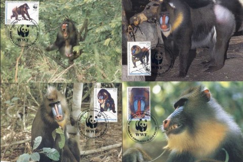 EquatorialxGuinea-1991 WWF Mandrill Maxicard